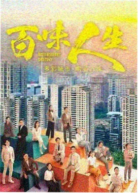 长风渡口 都市情感剧集封面